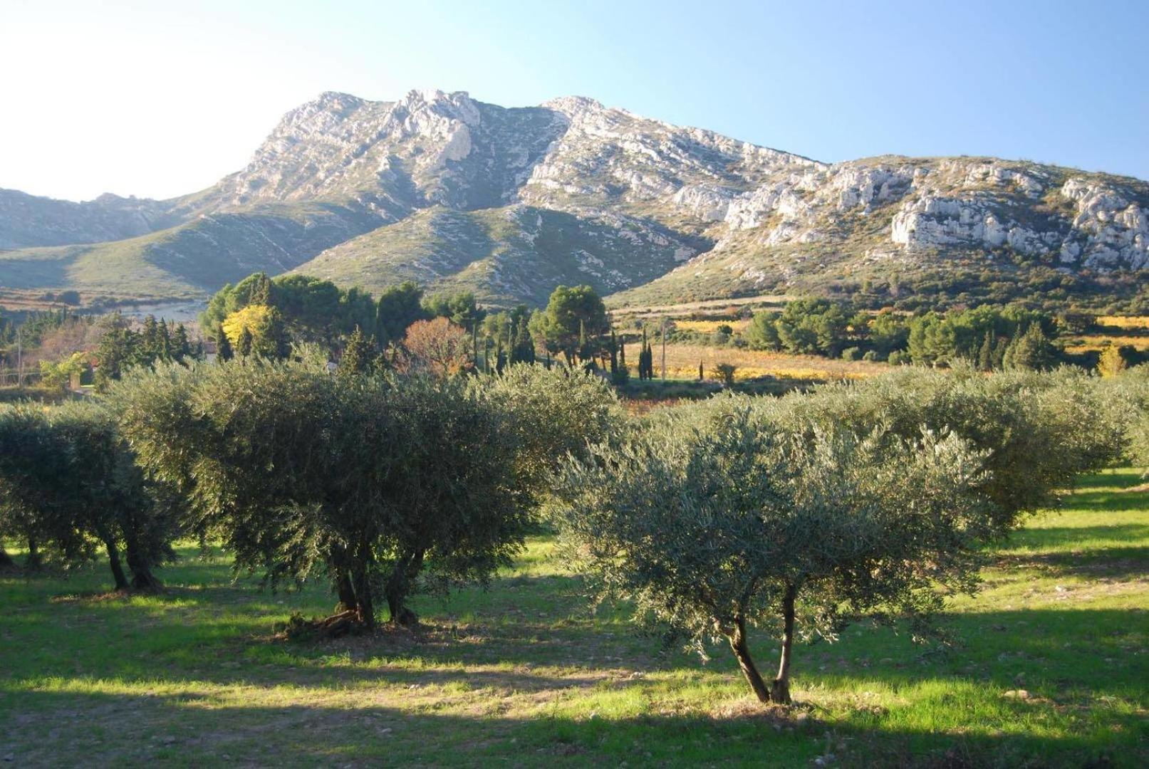 Appartement situé dans les Alpilles Mouries Esterno foto