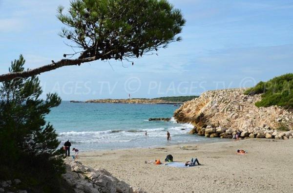 Appartement situé dans les Alpilles Mouries Esterno foto